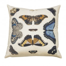 MIRRORED BUTTERFLIES/PARCHMENT