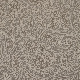 PAISLEY / VIZON