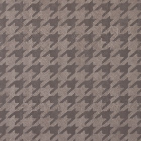 PIED DE POULE / VIZON