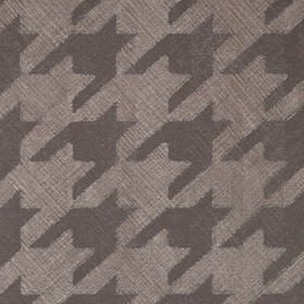 PIED DE POULE / VIZON