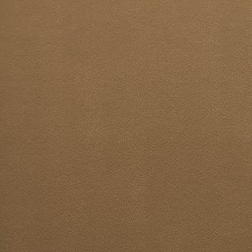 MANTA / 87 BRONZE MANTA / 87 BRONZE