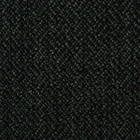 NOCTURNAL / 19 RAVEN