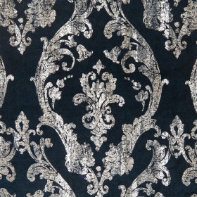 CONGRESS / 05 STELLAR