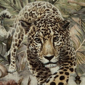 JUNGLE LEOPARDS / GREY