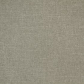 MALDIVES / 14 PENGUIN