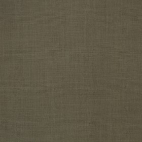 MONTEREY / 02 PEYOTE