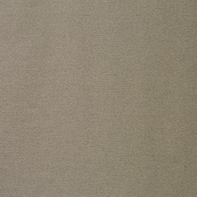 WILDERNESS / 07 FUNGI