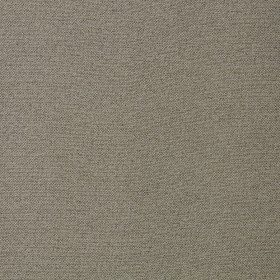 WILDERNESS / 07 FUNGI