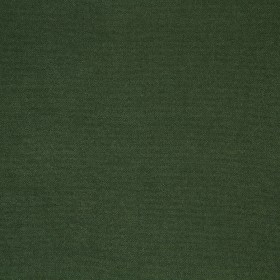 WILDERNESS / 26 CACTUS