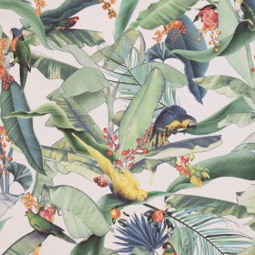 ZAMIIFLORA / 02 IVORY