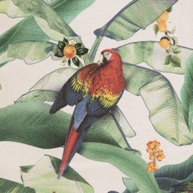 ZAMIIFLORA / 02 IVORY