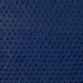 ARMADILLO / 60 COBALT