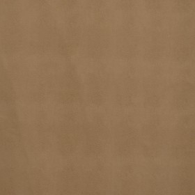 CHAMELEON / 35 ALMOND