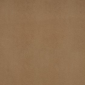 CHAMELEON / 35 ALMOND