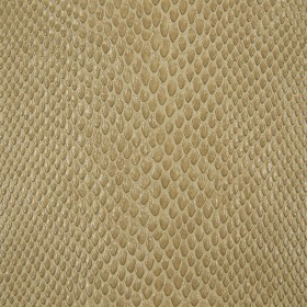 EQUIVALENT / 114 BEIGE